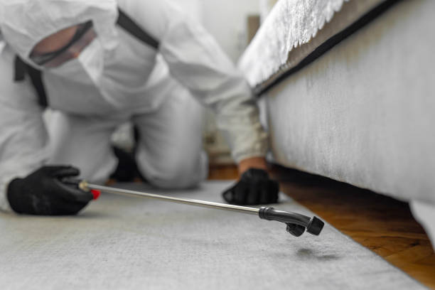 Professional Bed Bug Control technician working in St. Francis, MN