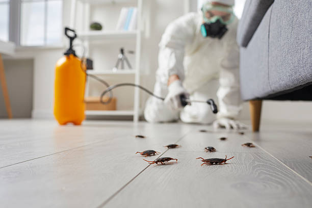 Trusted Cockroach Control service in St. Francis, MN - Nex Pest Control